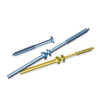 Snap Off Screw
