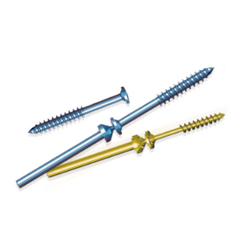 Snap Off Screw