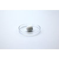 CollaOss Plug (Xenogenic Bone with Collagen)