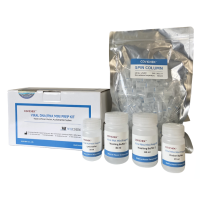 바이러스 DNA/RNA MINI PREP 키트